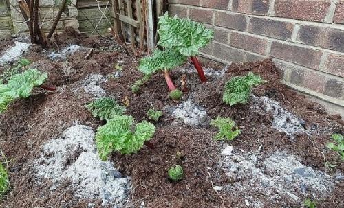 Удобрения для осени под перекопку опустевших грядок. 03 Удобрения для осени под перекопку опустевших грядок. 03