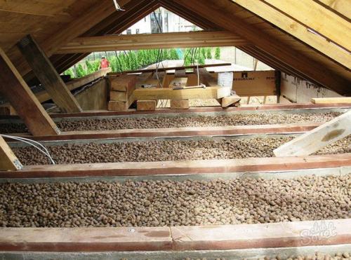 Потолок бани. Конструкция и утепление потолка в БАНЕ. 01 Потолок бани. Конструкция и утепление потолка в БАНЕ. 01