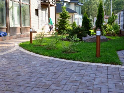 Посадка деревьев осенью когда и как посадить. Посадка и пересадка деревьев осенью: рекомендации опытных садоводов