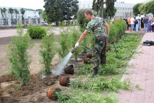 Посадка деревьев осенью когда и как посадить. Посадка и пересадка деревьев осенью: рекомендации опытных садоводов