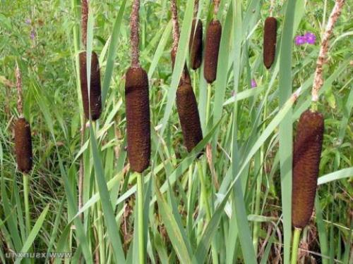 Дренажный колодец на глинистой почве. Зачем делать дренаж на глинистой почве 02 Дренажный колодец на глинистой почве. Зачем делать дренаж на глинистой почве 02