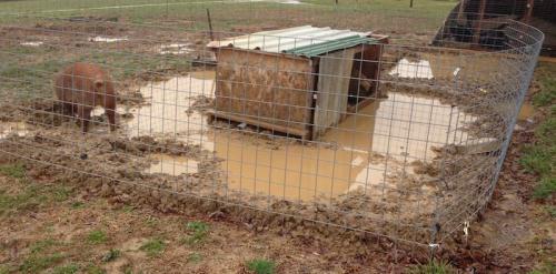 Что лучше колодец или скважина на дачном участке. Количество воды 03 Что лучше колодец или скважина на дачном участке. Количество воды 03