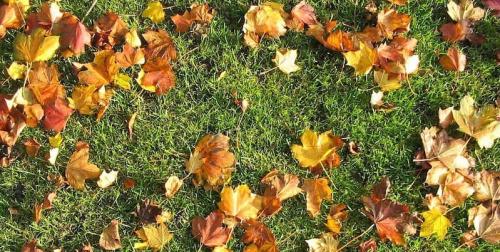 Что лучше колодец или скважина на дачном участке. Количество воды 02 Что лучше колодец или скважина на дачном участке. Количество воды 02