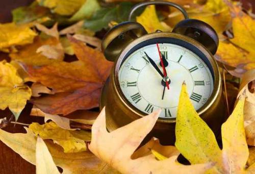 Посадка деревьев осенью сроки.  Когда нужно сажать деревья осенью 09