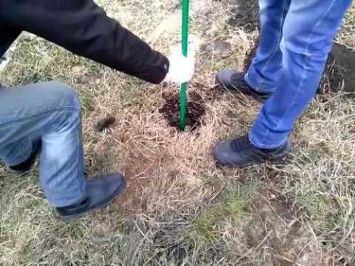 Дренажный колодец на глинистой почве. Зачем делать дренаж на глинистой почве 06 Дренажный колодец на глинистой почве. Зачем делать дренаж на глинистой почве 06