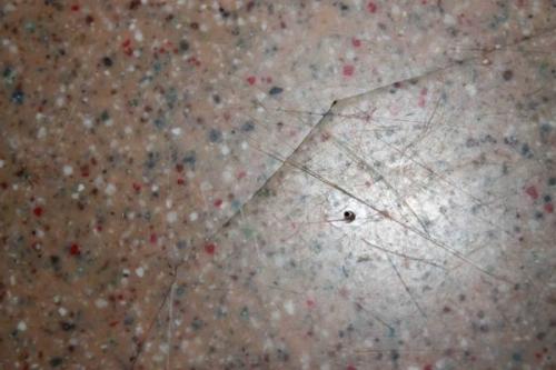 Как делают искусственный камень для столешниц. Столешницы из акрила