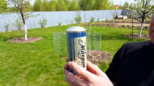 Как избавиться от котов во дворе частного дома. Как защитить свой двор или участок от бродячих котов?