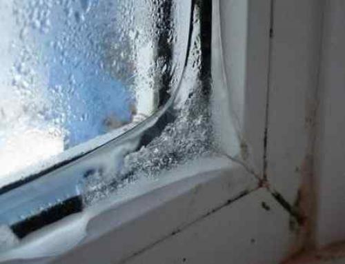 Стеклопакет потеет между стеклами, что делать. Потеет стеклопакет внутри