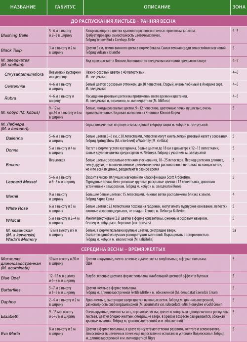 Глициния в Подмосковье. Уход и выращивание глицинии в Подмосковье, подборка сортов 16