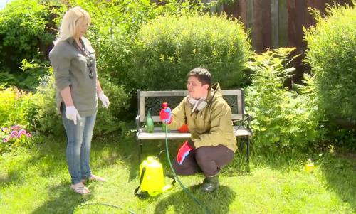 Средство для обработки участка от комаров. Факторы, которые следует учитывать перед обработкой