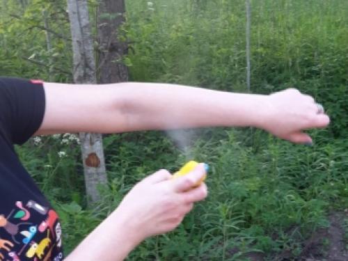 Обработка участка от комаров и мошек 02 Обработка участка от комаров и мошек 02