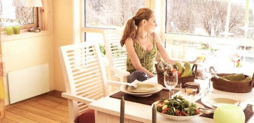 Конвекторы для отопления частного дома, как выбрать. Как правильно выбрать электрический конвектор для дома? 01 Конвекторы для отопления частного дома, как выбрать. Как правильно выбрать электрический конвектор для дома? 01