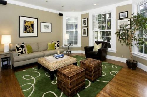 Коричневый и зеленый в интерьере. ОСНОВЫ ПРОЕКТИРОВАНИЯ КОРИЧНЕВО-ЗЕЛЕНОГО ИНТЕРЬЕРА ГОСТИНОЙ