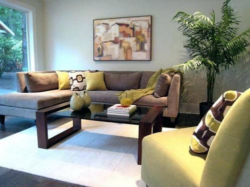 Коричневый и зеленый в интерьере. ОСНОВЫ ПРОЕКТИРОВАНИЯ КОРИЧНЕВО-ЗЕЛЕНОГО ИНТЕРЬЕРА ГОСТИНОЙ