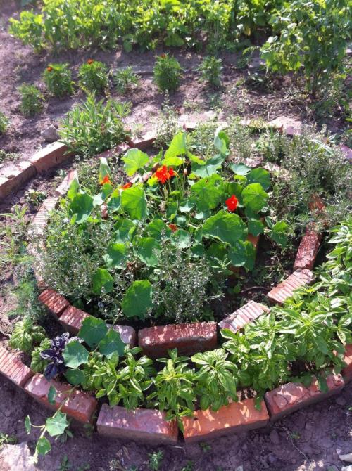 Клумбы из камня и кирпича. Клумбы из кирпича —, как красиво сложить своими руками? 115 фото и советы дизайнеров