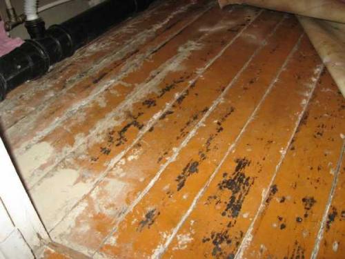 Чем затыкать щели. Чем заделать щели в полу: способы народные, оригинальные и радикальные