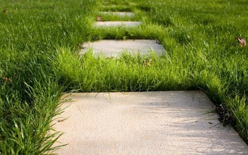 Бетонные дорожки в частном доме своими руками. Как сделать бетонные дорожки на даче своими руками