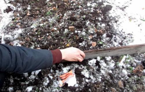 Что сажают в зиму на огороде. Посадка культур под зиму, что лучше посадить осенью на огороде