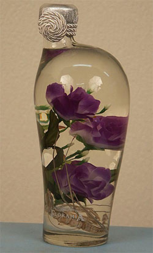 Ягоды в глицерине.