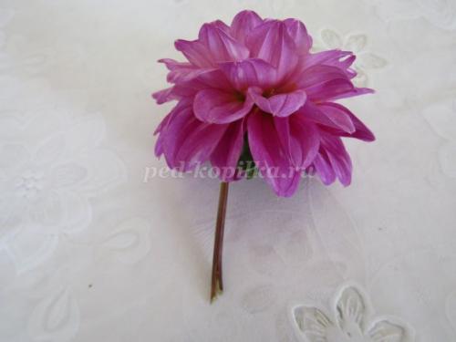 Консервирование цветов в глицерине в бутылке. Консервирование цветов в глицерине. Мастер-класс с фото