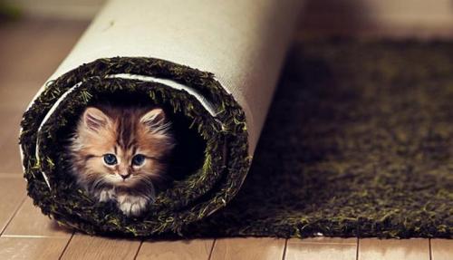 Лайфхак, как утеплить окна. 10 лайфхаков, как утеплить жилье и согреться: холод – не тетка, плед не подарит