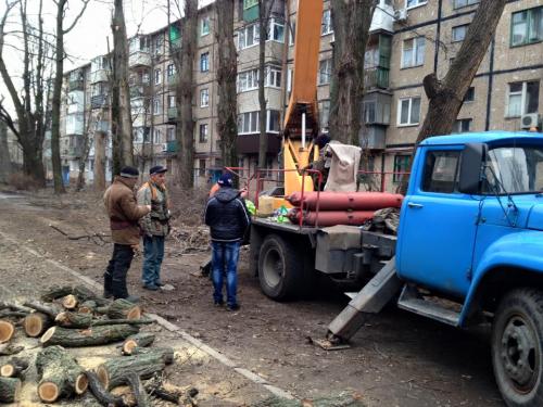 Утилизация веток днепр. Деревья Днепропетровска теряют ветки: омоложение или заготовка дров?