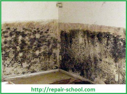 Ключевые моменты в отделке подвала частного дома. Чем отделать стены в подвале частного дома 10 Ключевые моменты в отделке подвала частного дома. Чем отделать стены в подвале частного дома 10