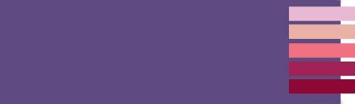 Сочетание сиреневого цвета с другими цветами. Сочетание фиолетового с другими цветами