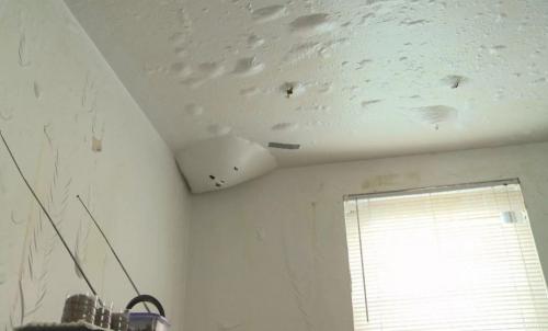 Упал потолок из гипсокартона. Что будет с потолком из гипсокартона если его зальют сверху