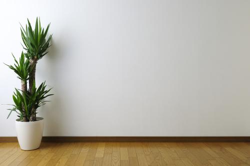 Можно ли поклеить обои на краску. Масляная краска и её условия