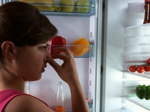 Как вывести из холодильника неприятный запах. Как быстро убрать запах из холодильника, способы устранения неприятного запаха
