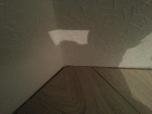 Как выбрать ламинат земсков. Ламинат и все, что связано с его установкой/демонтажем