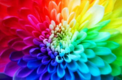 Сочетание белого цвета на авто. Что делать Весной с автомобилем – тюнинг салона.