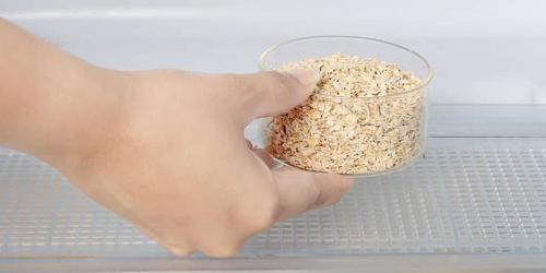 Как удалить неприятный запах из холодильника. Ша.  Ставим на полку натуральный поглотитель запаха для профилактики 01