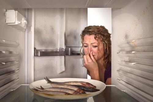 Как удалить из холодильника неприятный запах. Как удалить неприятные запахи из холодильника