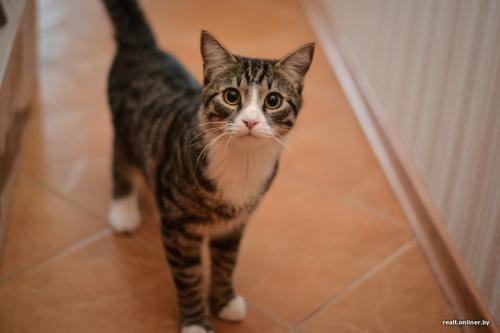 Как сделать ремонт в квартире экономно. Делаем стильный дизайнерский ремонт в обычной комнате за три дня и 760 рублей