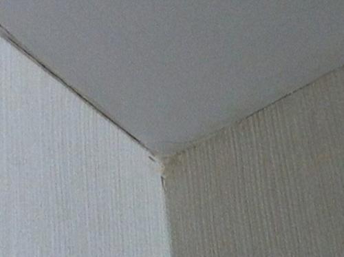 Галтель. Общая информация