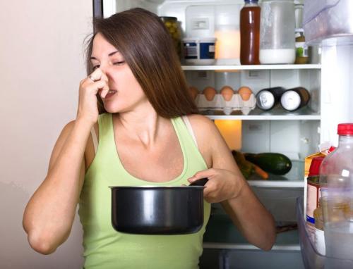 Как удалить из холодильника неприятный запах. Как удалить неприятные запахи из холодильника