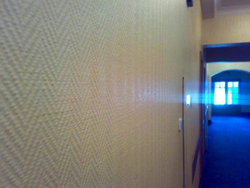 Какие бывают виды обои. Когда появились первые обои – экскурс в историю 01