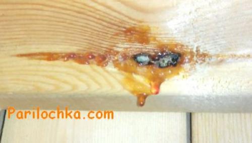 Как крепить вагонку в бане. Как правильно обшить парилку