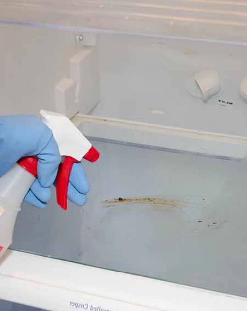 Откуда неприятный запах в холодильнике. Неприятный запах в холодильнике