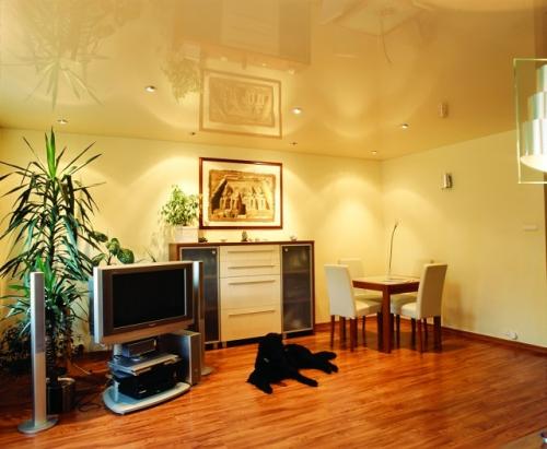 Отделочный материал для потолка. Самые популярные варианты для отделки потолка 03 Отделочный материал для потолка. Самые популярные варианты для отделки потолка 03