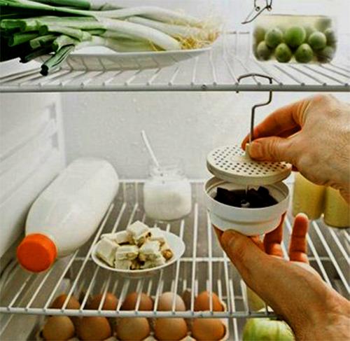 Запах из холодильника убрать. Как убрать запах протухшего мяса из холодильника 03