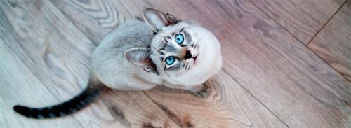 Какой ламинат выбрать для спальни. Технические и эксплуатационные характеристики 05