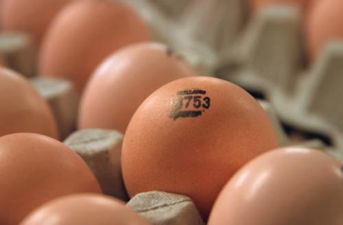 Срок хранения яиц в холодильнике сырых. Срок годности яиц куриных в холодильнике
