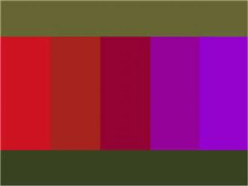 Какой цвет сочетается с белым. 31