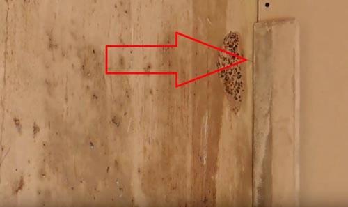 Штукатурка стен. В чем отличия штукатурки стен своими руками по маякам: видео с профессиональными комментариями