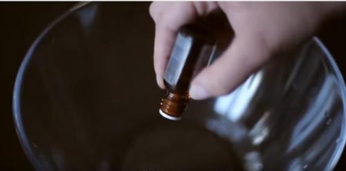 Вывести запах из холодильника. Совет .  Выводим плесень — найти и обезвредить! 11