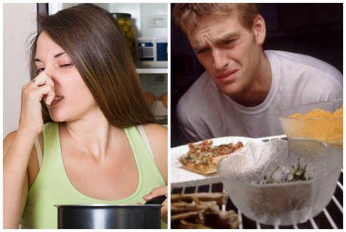 Удалить запах из холодильника. От чего появляется душок в холодильнике