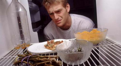 Как очистить от запаха холодильник. Житейская история: чем помыть холодильник, чтобы не было запаха